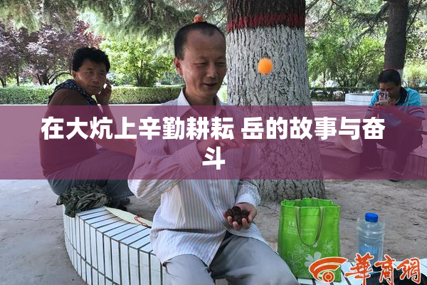 在大炕上辛勤耕耘 岳的故事与奋斗