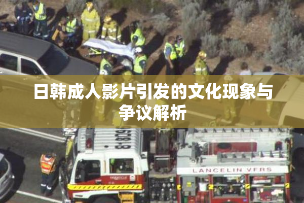 日韩成人影片引发的文化现象与争议解析