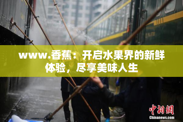 www.香蕉：开启水果界的新鲜体验，尽享美味人生