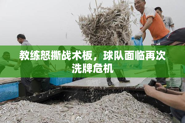 教练怒撕战术板，球队面临再次洗牌危机