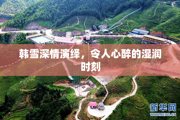 韩雪深情演绎，令人心醉的湿润时刻