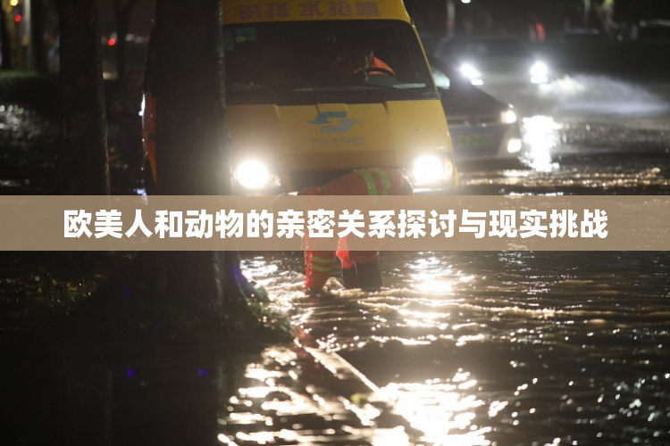 欧美人和动物的亲密关系探讨与现实挑战
