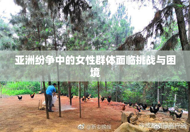 亚洲纷争中的女性群体面临挑战与困境