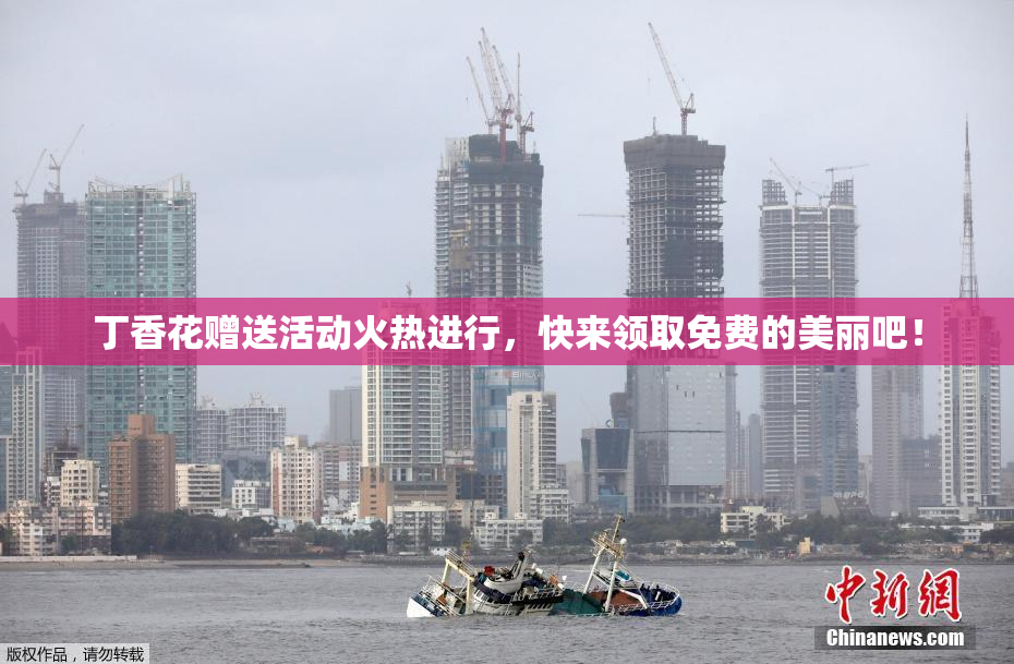丁香花赠送活动火热进行，快来领取免费的美丽吧！