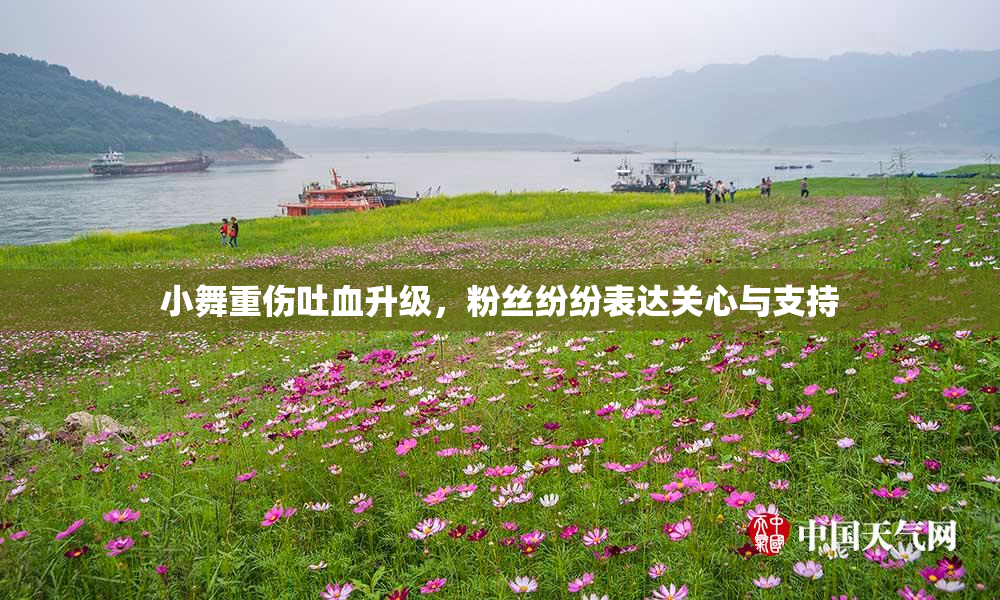 小舞重伤吐血升级，粉丝纷纷表达关心与支持