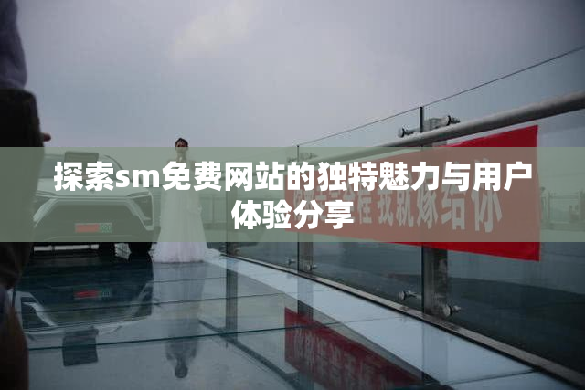 探索sm免费网站的独特魅力与用户体验分享