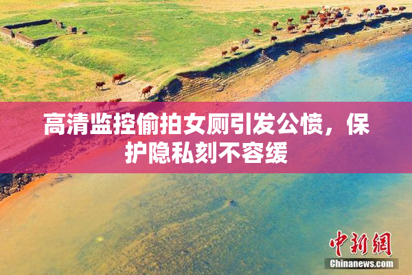 高清监控偷拍女厕引发公愤，保护隐私刻不容缓