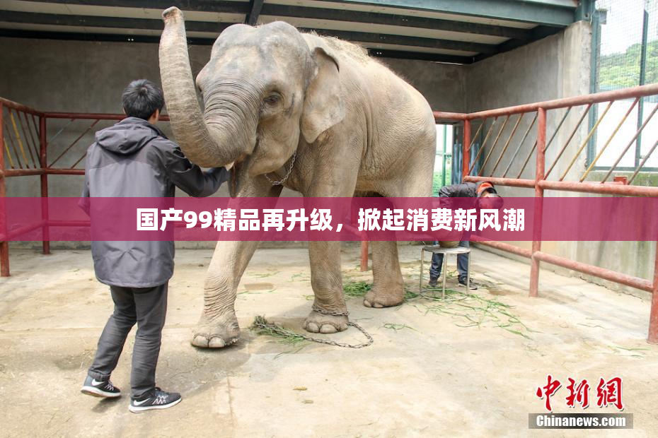国产99精品再升级，掀起消费新风潮