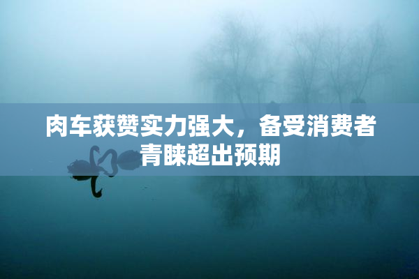 肉车获赞实力强大，备受消费者青睐超出预期