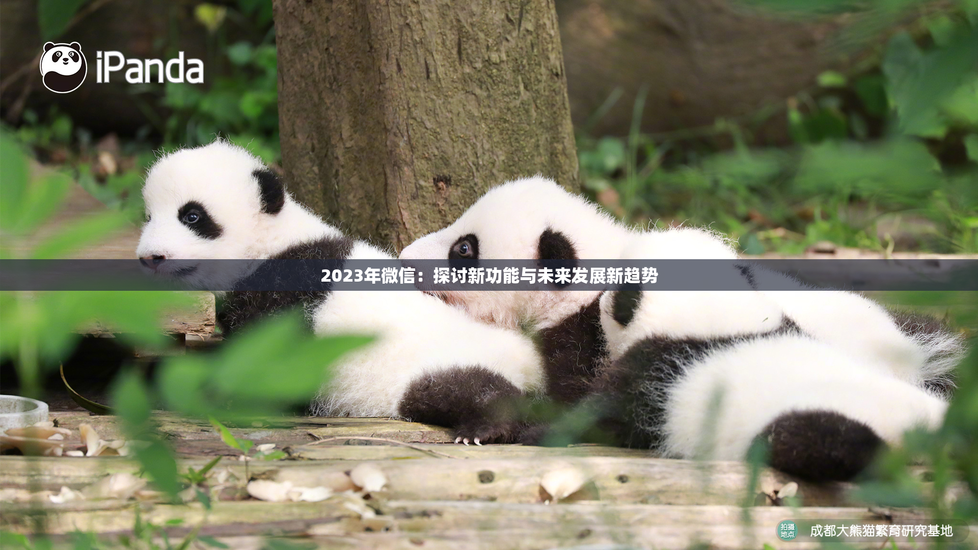 2023年微信：探讨新功能与未来发展新趋势