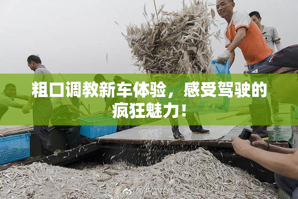 粗口调教新车体验，感受驾驶的疯狂魅力！