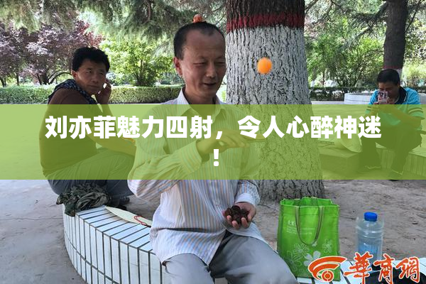 刘亦菲魅力四射，令人心醉神迷！
