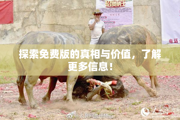 探索免费版的真相与价值，了解更多信息！