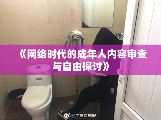 《网络时代的成年人内容审查与自由探讨》
