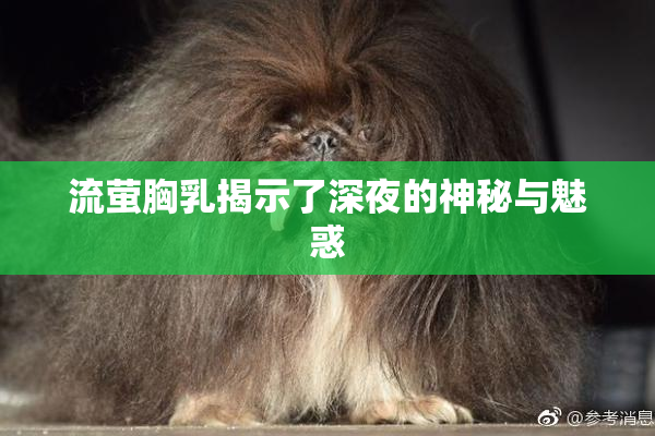 流萤胸乳揭示了深夜的神秘与魅惑