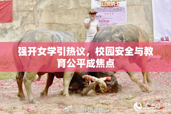 强开女学引热议，校园安全与教育公平成焦点