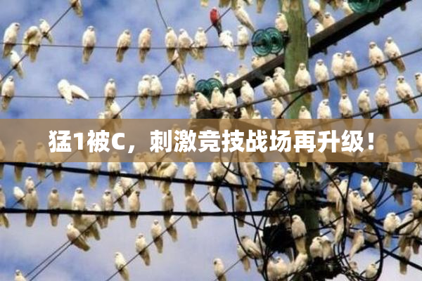猛1被C，刺激竞技战场再升级！