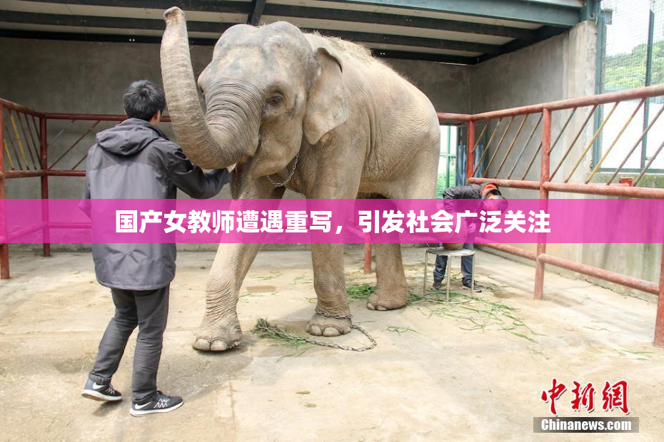 国产女教师遭遇重写，引发社会广泛关注