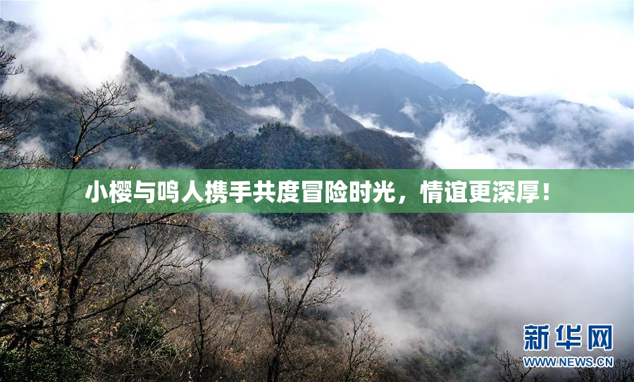 小樱与鸣人携手共度冒险时光，情谊更深厚！