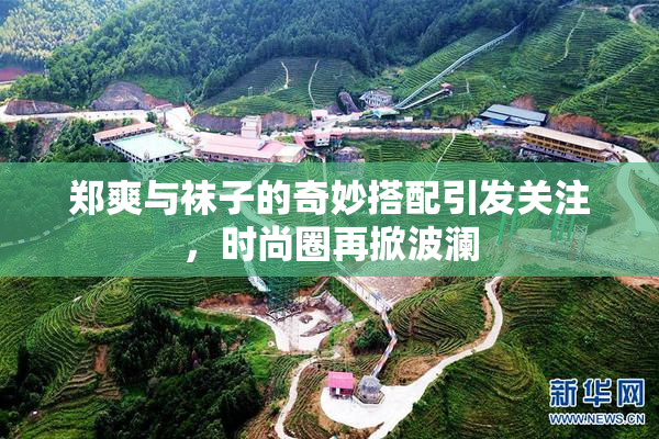 郑爽与袜子的奇妙搭配引发关注，时尚圈再掀波澜