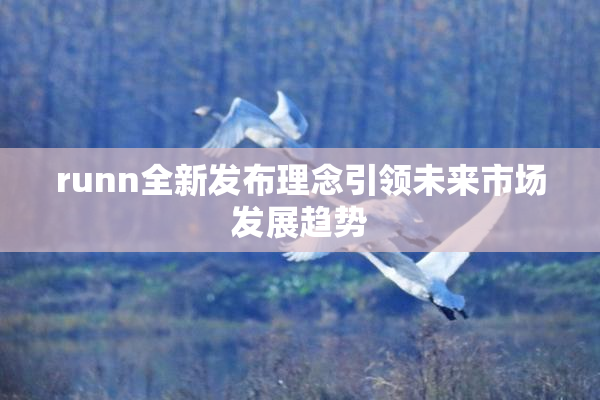 runn全新发布理念引领未来市场发展趋势