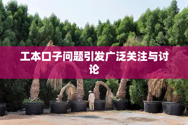 工本口子问题引发广泛关注与讨论