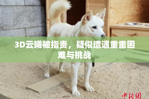 3D云曦被指责，疑似遭遇重重困难与挑战