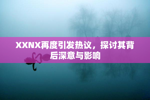 XXNX再度引发热议，探讨其背后深意与影响