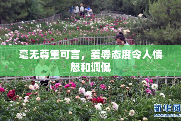 毫无尊重可言，羞辱态度令人愤怒和调侃