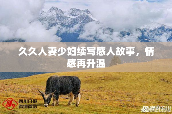 久久人妻少妇续写感人故事，情感再升温
