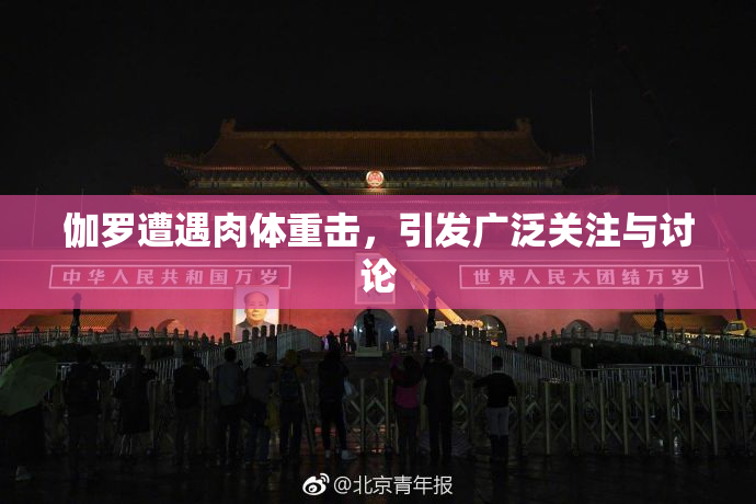 伽罗遭遇肉体重击，引发广泛关注与讨论