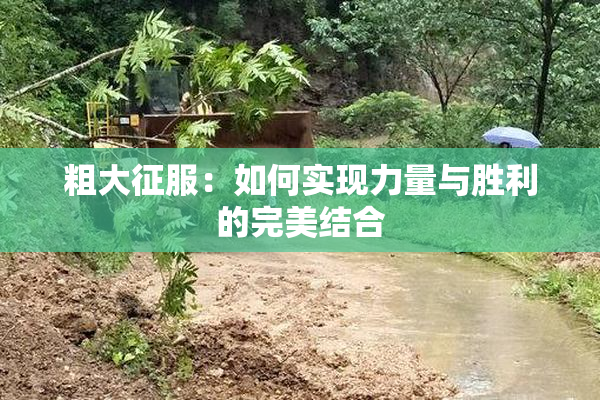粗大征服：如何实现力量与胜利的完美结合