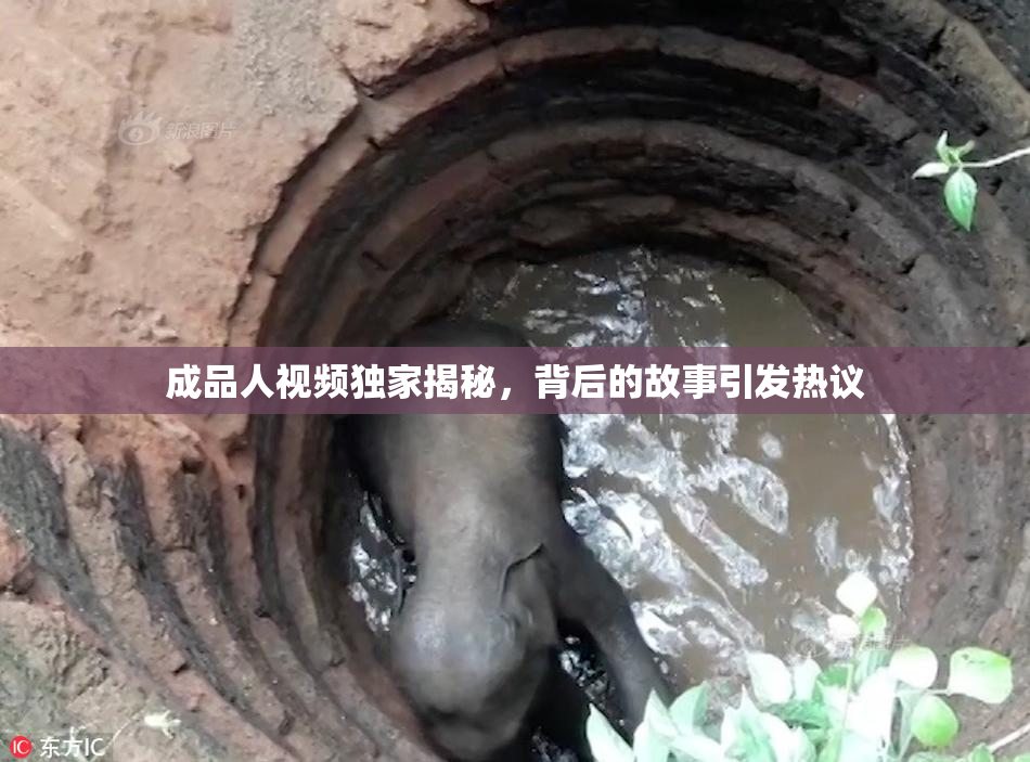 成品人视频独家揭秘，背后的故事引发热议