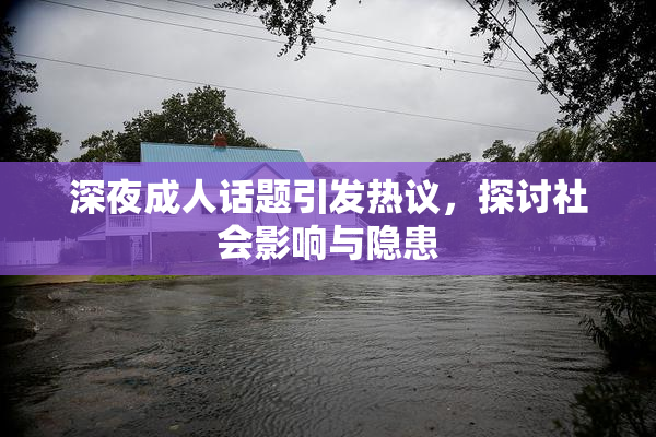 深夜成人话题引发热议，探讨社会影响与隐患