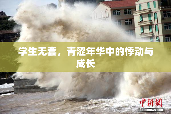 学生无套，青涩年华中的悸动与成长