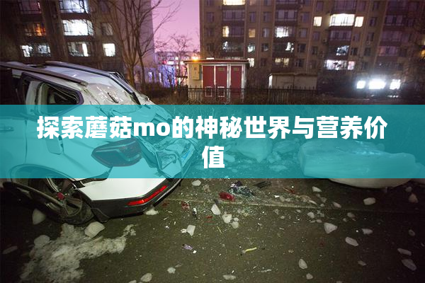 探索蘑菇mo的神秘世界与营养价值