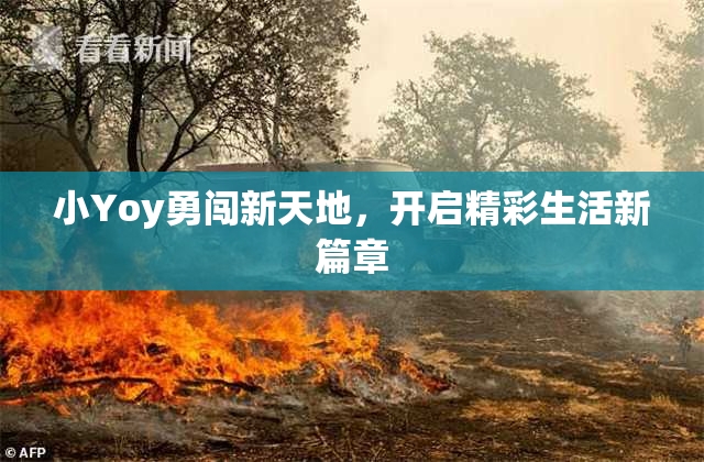 小Yoy勇闯新天地，开启精彩生活新篇章