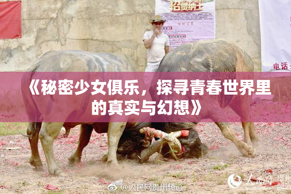 《秘密少女俱乐，探寻青春世界里的真实与幻想》