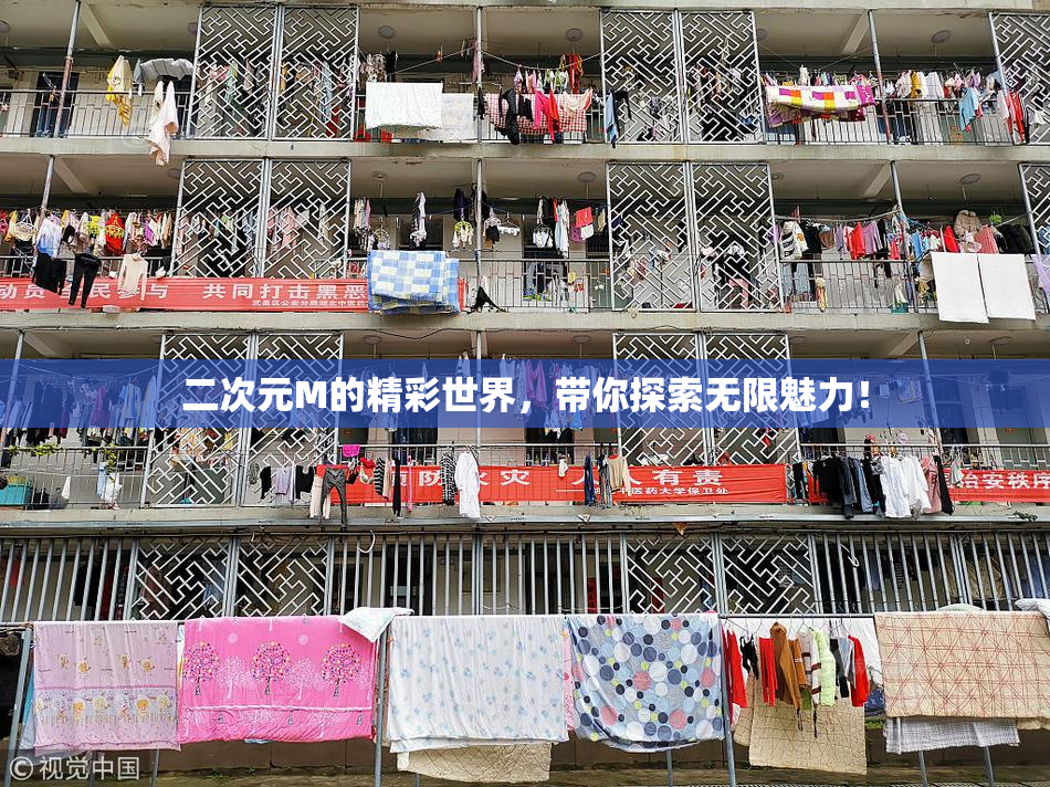 二次元M的精彩世界，带你探索无限魅力！
