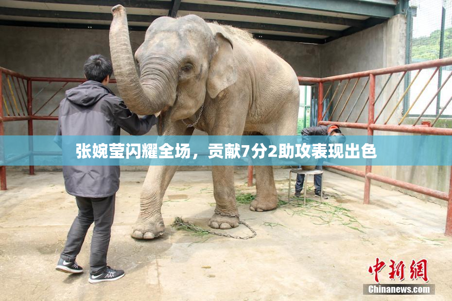 张婉莹闪耀全场，贡献7分2助攻表现出色