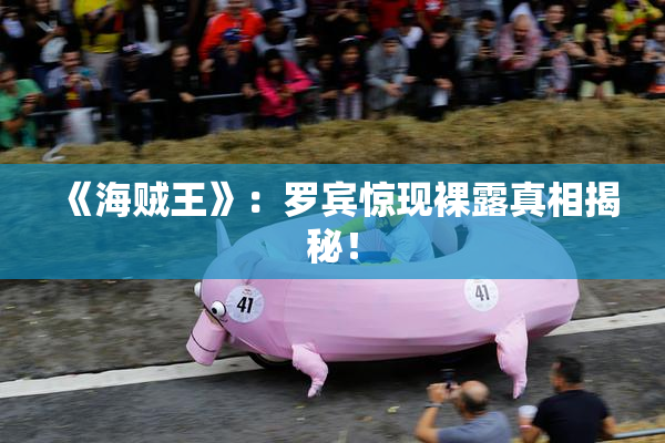 《海贼王》：罗宾惊现裸露真相揭秘！