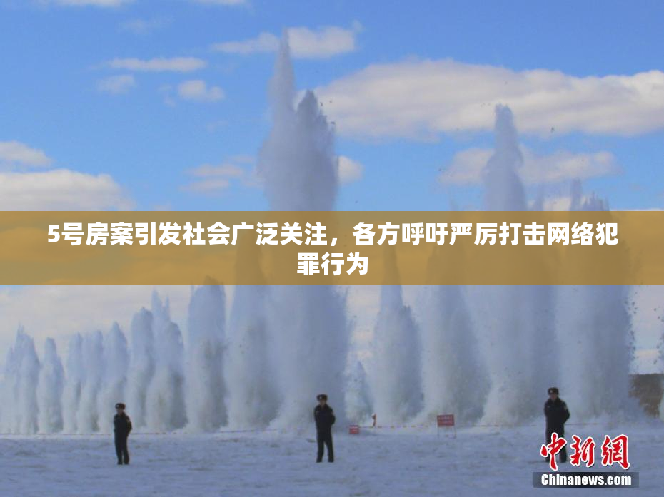 5号房案引发社会广泛关注，各方呼吁严厉打击网络犯罪行为