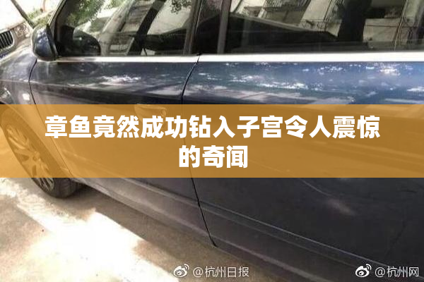 章鱼竟然成功钻入子宫令人震惊的奇闻