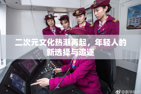 二次元文化热潮再起，年轻人的新选择与追逐