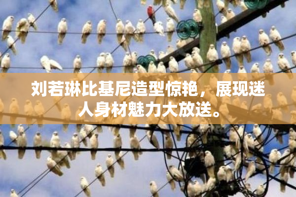 刘若琳比基尼造型惊艳，展现迷人身材魅力大放送。