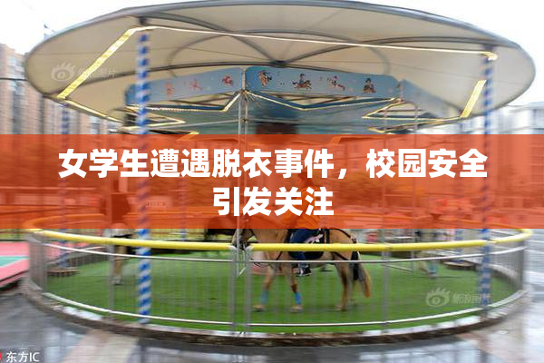 女学生遭遇脱衣事件，校园安全引发关注