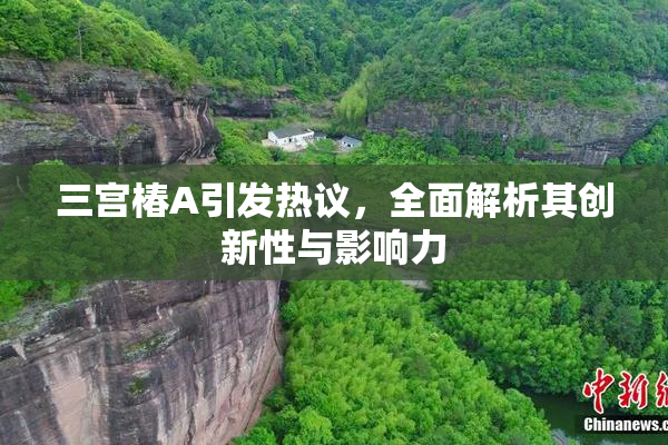 三宫椿A引发热议，全面解析其创新性与影响力