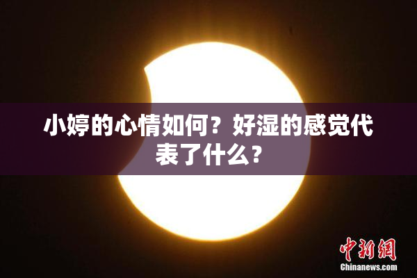 小婷的心情如何？好湿的感觉代表了什么？