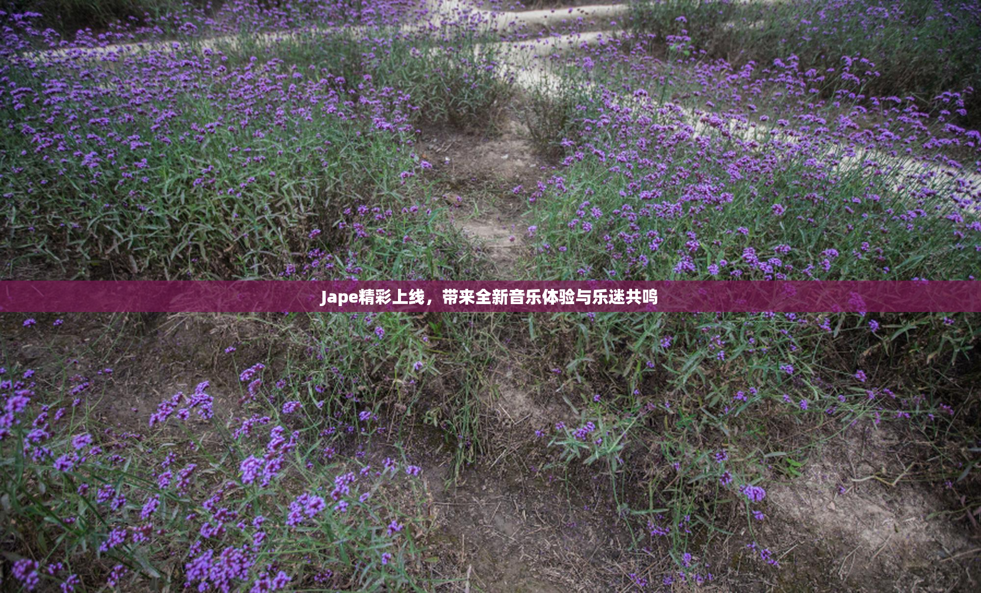 Jape精彩上线，带来全新音乐体验与乐迷共鸣