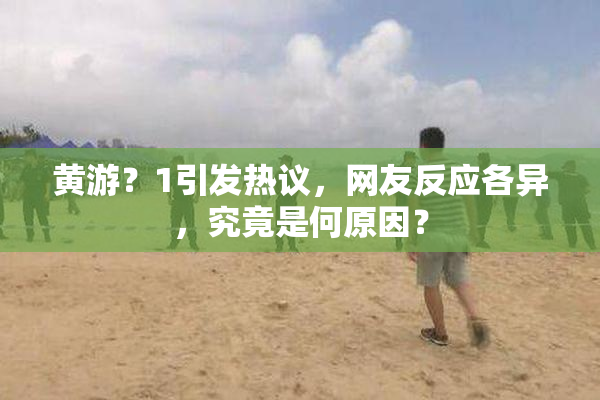 黄游？1引发热议，网友反应各异，究竟是何原因？